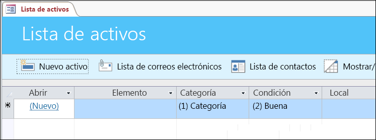 Formulario de la lista de activos en la plantilla de la base de datos de activos de Access