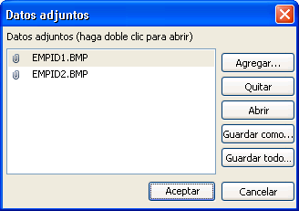 Cuadro de diálogo Datos adjuntos